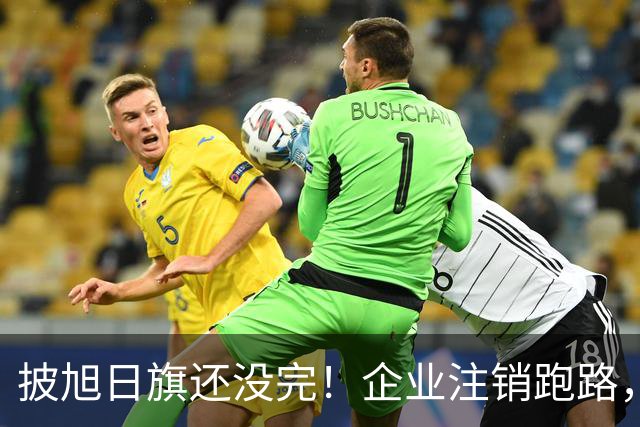 披旭日旗还没完！企业注销跑路，又揪出5个喊“一起披”的